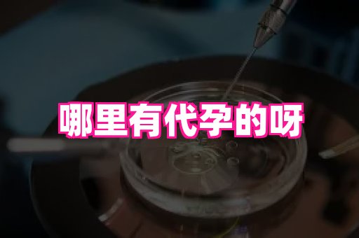东莞助孕网站 3