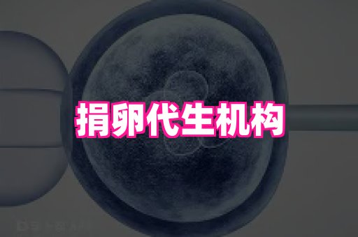 东莞助孕网站 4